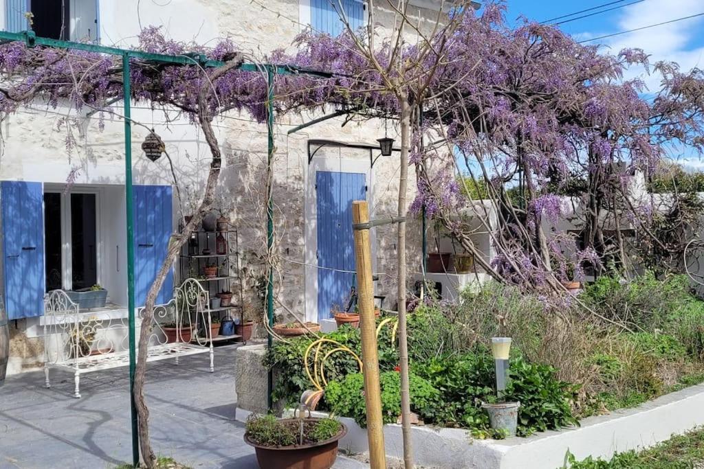 Location Appartement Dans Mas Provencal Monteux Dış mekan fotoğraf