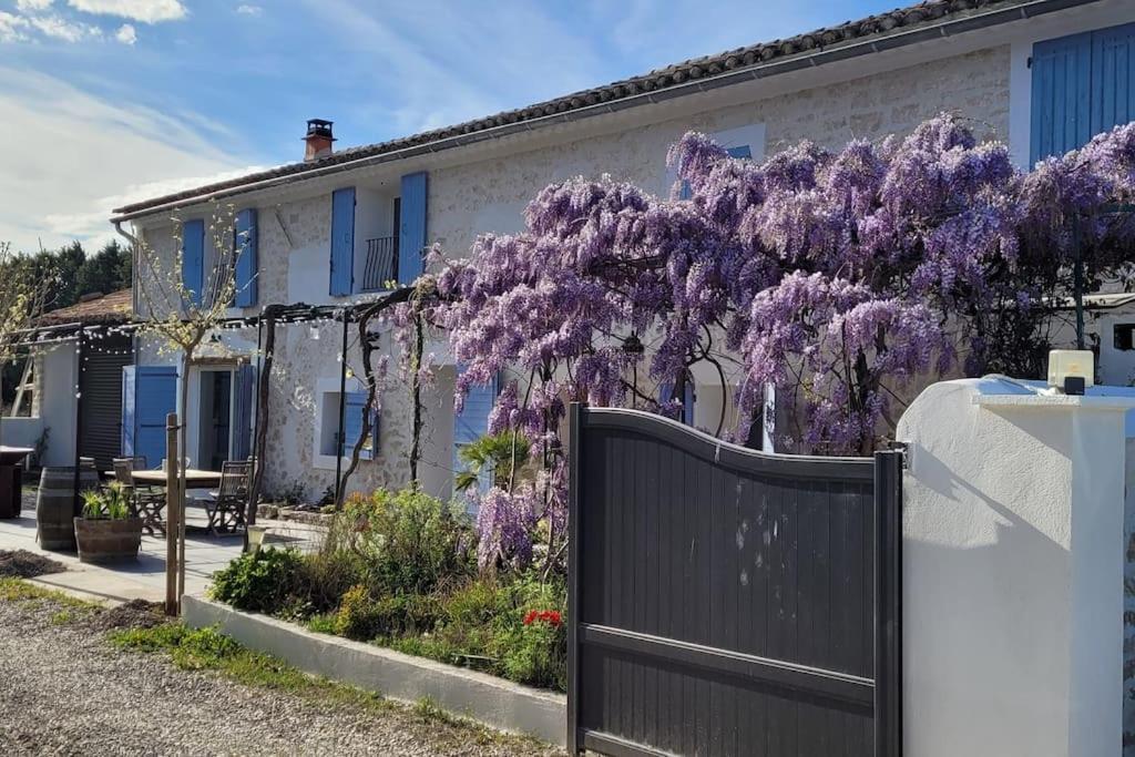 Location Appartement Dans Mas Provencal Monteux Dış mekan fotoğraf