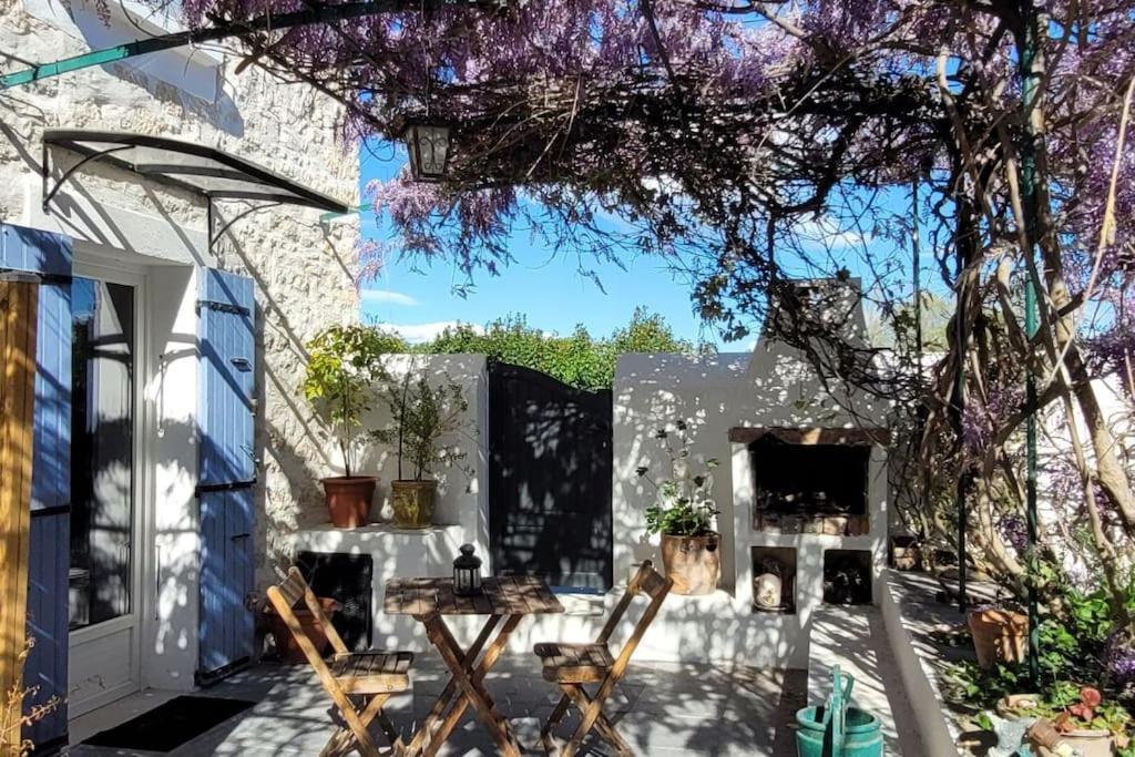 Location Appartement Dans Mas Provencal Monteux Dış mekan fotoğraf