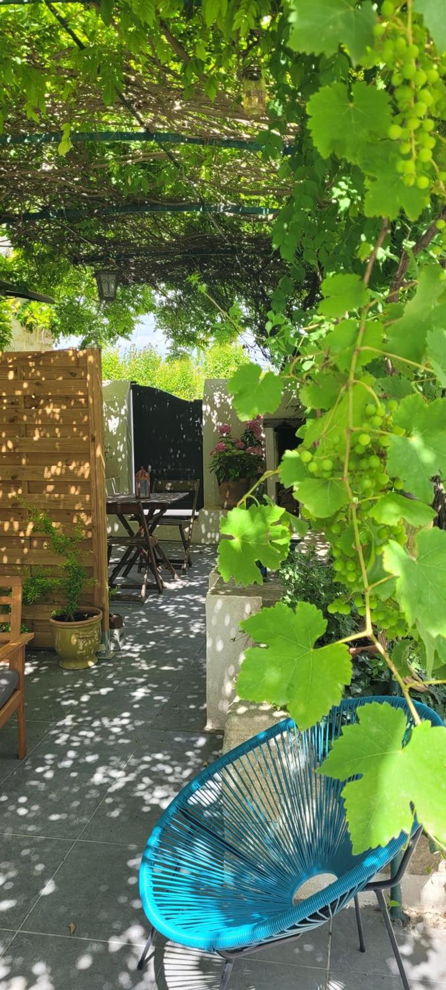 Location Appartement Dans Mas Provencal Monteux Dış mekan fotoğraf